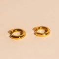 Chunky Rounded Huggie Hoop Earrings 4