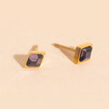 February Birthstone Stud Earrings 2