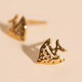 Angel Fish Stud Earrings 1