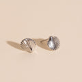 Mini Seashell Stud Earrings 5