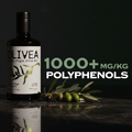 Ultra High Phenolic Extra Virgin Olive Oil — 1,000+ mg/kg Polyphenols 8