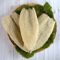 Ugandan Exfoliator Natural Loofah (Ekyangwe) 1