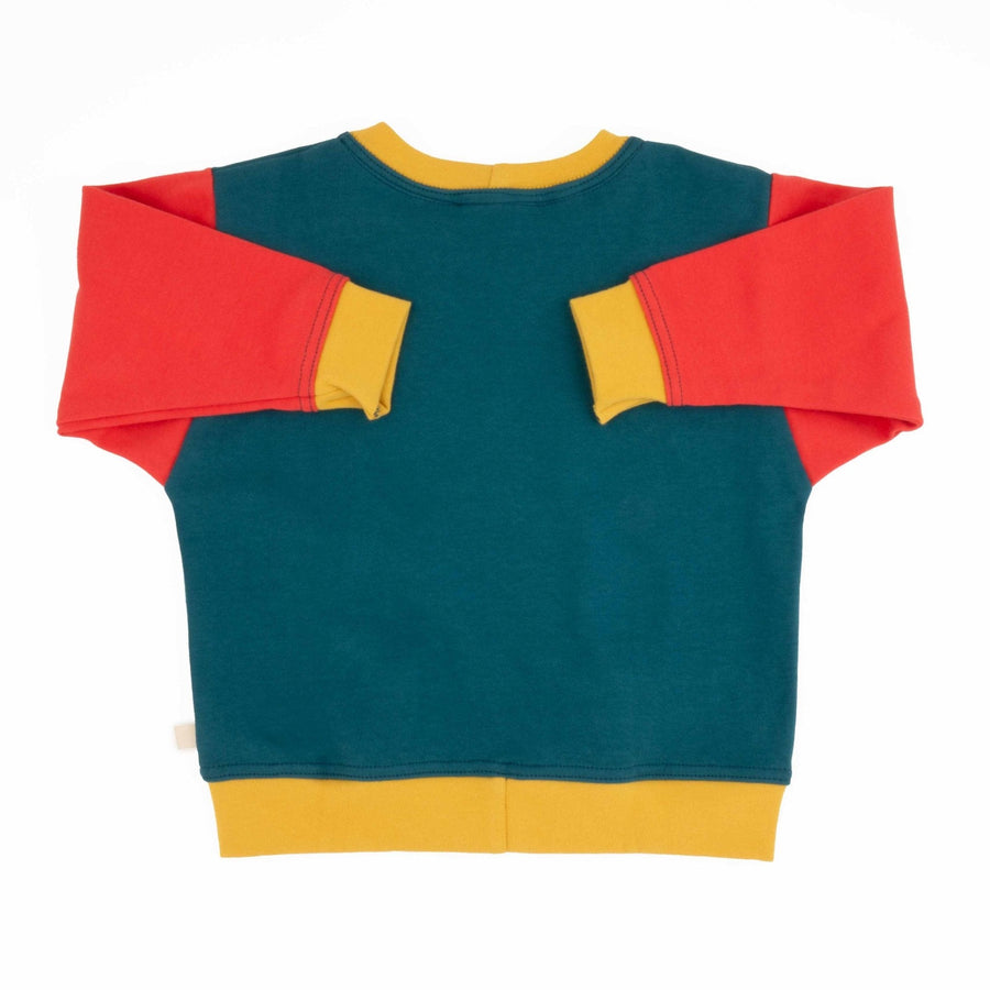 Adult Colorblock Sweatshirt