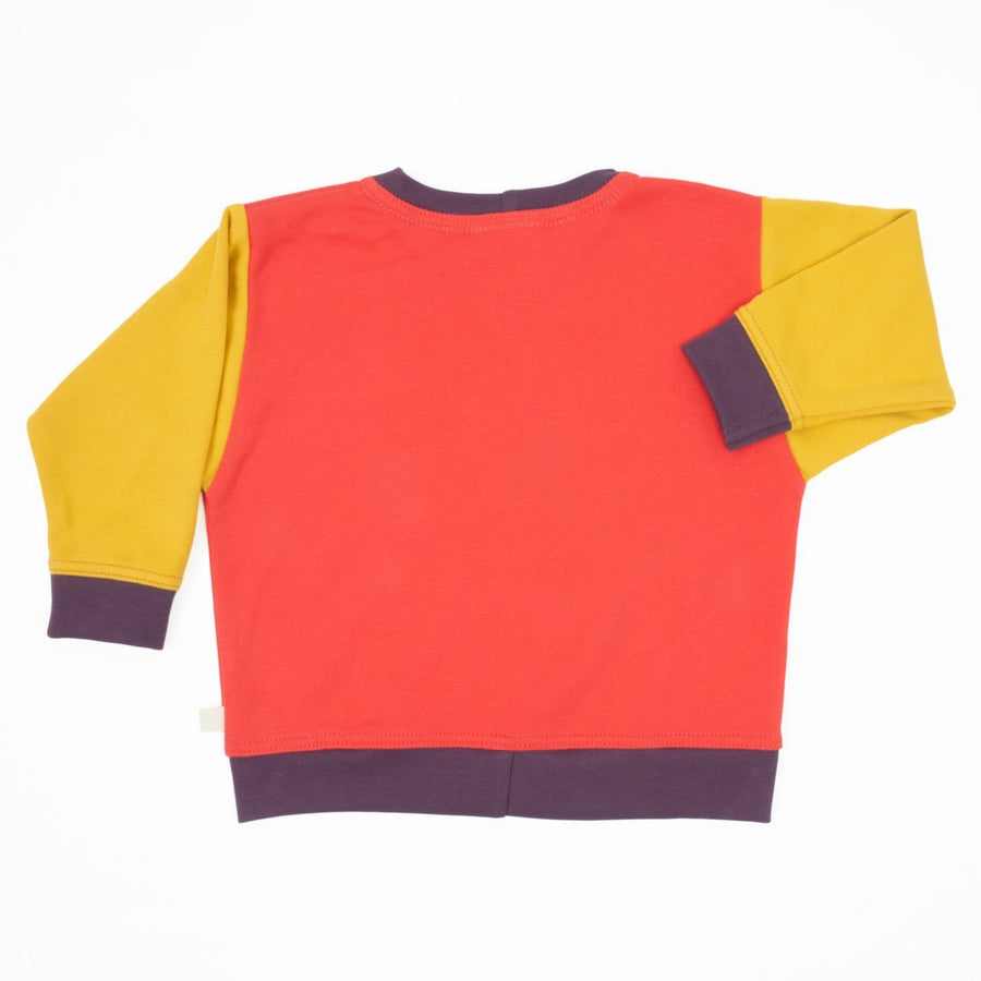 Baby Colorblock Sweatshirt