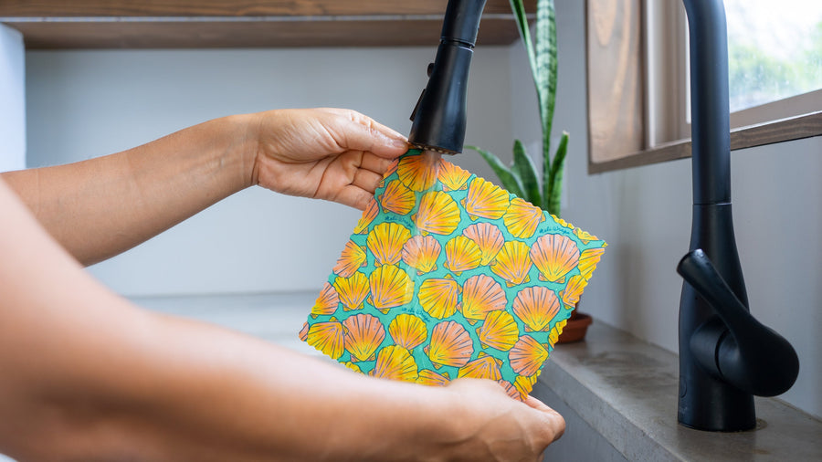 Beeswax Food Wrap - Sunrise Shell Print