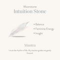 Celestial Shield - Moonstone June Birthstone Evil Eye Gold Necklace 3