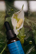 Emanations Profound Face Oil – Nourishing Tallow, Emu Oil, Sea Buckthorn, Champa, Tuberose & White Ginger Lily 9
