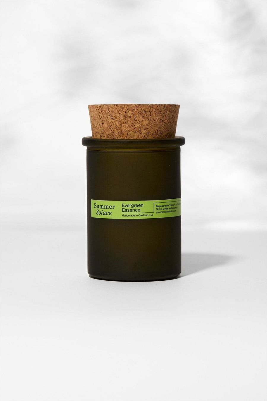 Evergreen Essence – Cedar & Oakmoss Candle | 6 oz Tallow & Beeswax