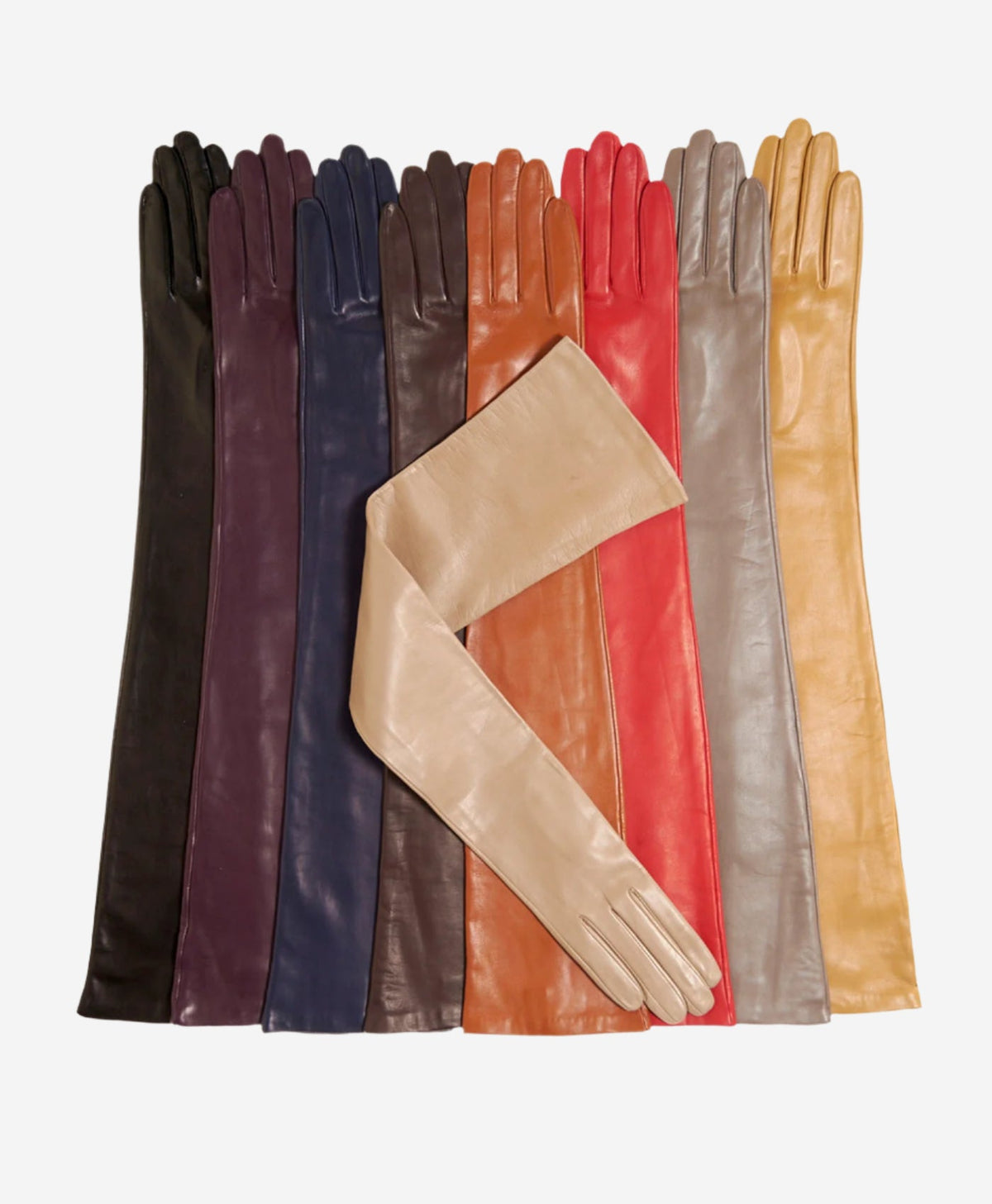 FS15W16 (black/grape) - Italian silk lined opera leather gloves 16-button length