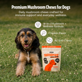 Organic Mushroom Complex for Dogs 2