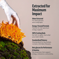 Cordyceps Mushroom Extract Powder 2