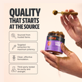 Organic Lion’s Mane Mushroom Powder 3