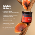 Organic Reishi Mushroom Powder 2