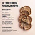 Organic Turkey Tail Mushroom Powder 6