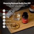 Organic Reishi Mushroom Capsules 8
