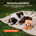 Organic Mushroom Complex for Dogs 8