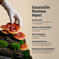 Organic Reishi Mushroom Capsules 6
