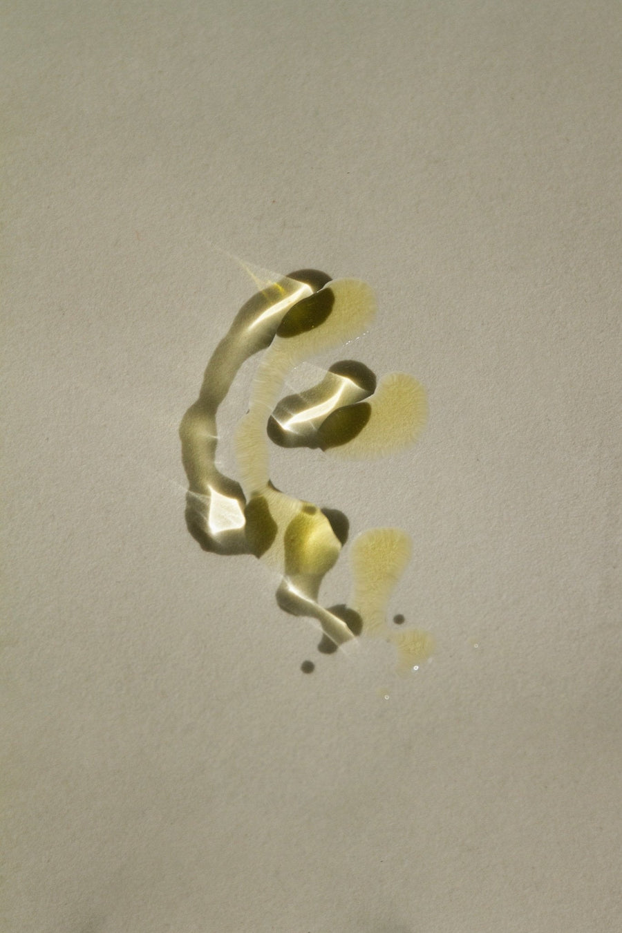 Sacred Scents Spiritual Balm – Clary Sage, Fennel & Tulsi Holy Basil