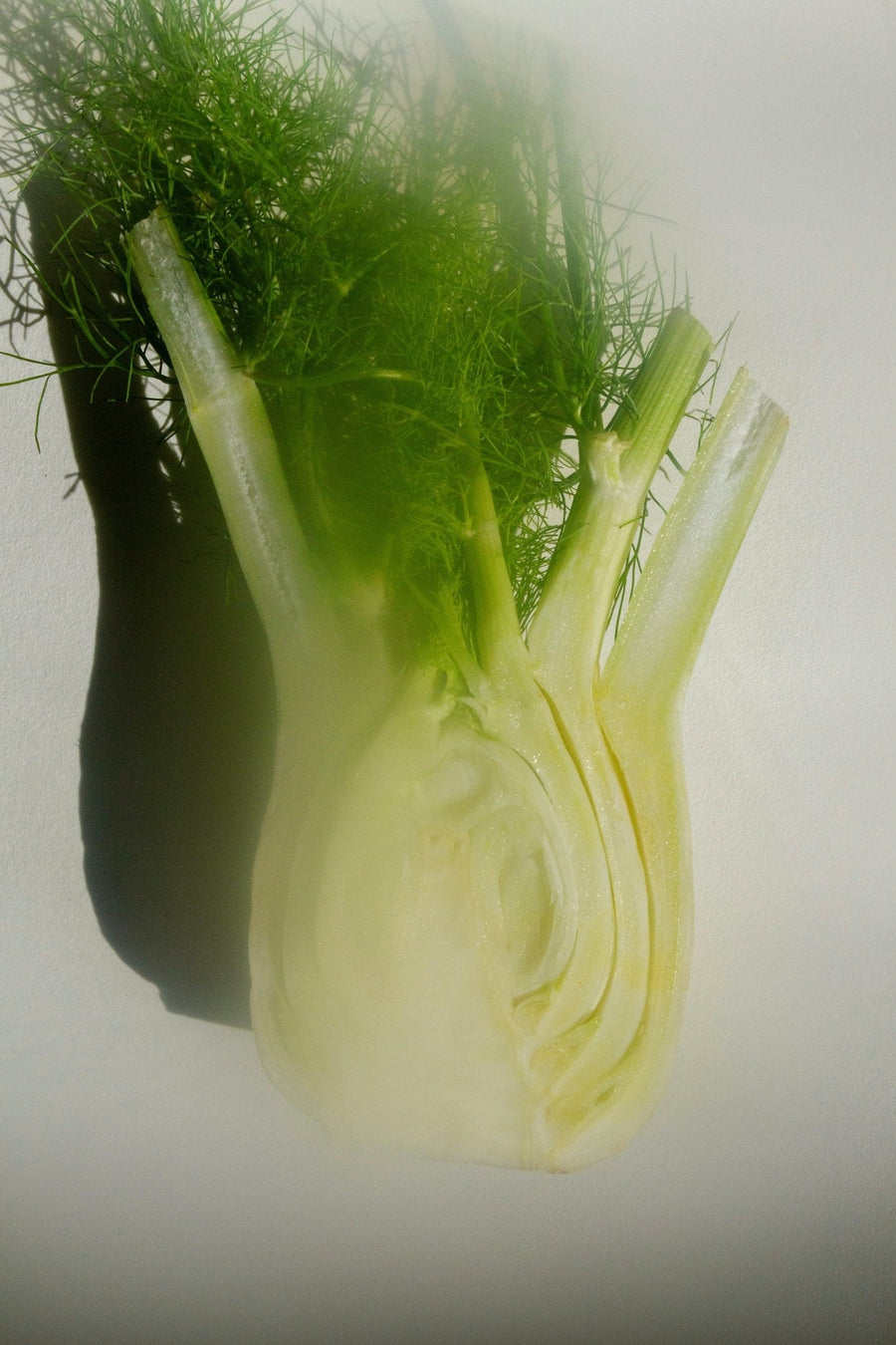 Sacred Scents Spiritual Balm – Clary Sage, Fennel & Tulsi Holy Basil