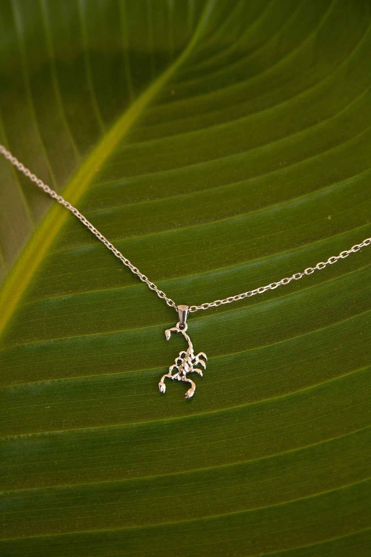 Scorpion Necklace (Unisex)