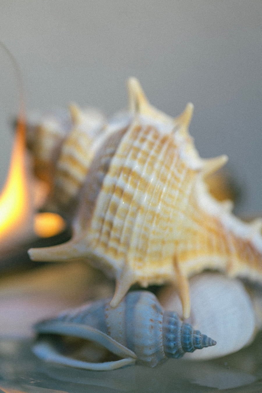 SEELE – Exfoliating Sea Salt Scrub | Celtic Salt®, Choya Nākh, Sage & Coriander