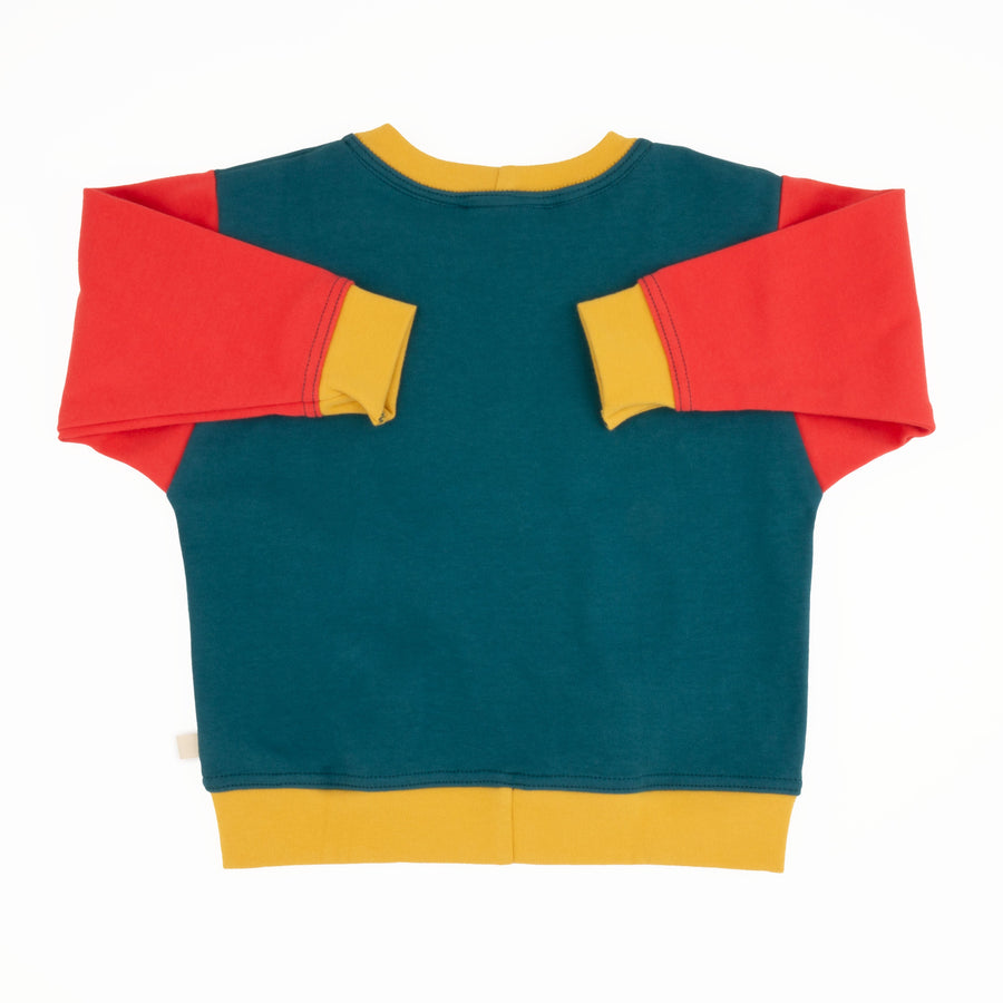 Toddler Colorblock Sweatshirt