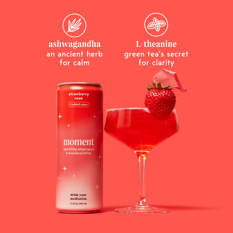 bestsellers (botanical soda | 12 pack)